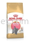 Royal Canin British Shorthair Kitten Royal Canin Cat Food