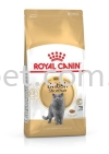 Royal Canin British Short Hair Adult Royal Canin Cat Food