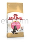 Royal Canin Mainecoon Kitten Royal Canin Cat Food