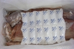 Cold Chain Thermafreeze ® Gel Ice