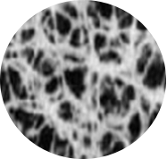 Regenerated Cellulose (RC) Filter Membrane