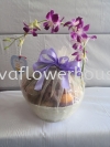 Wellness Basket Flowers And Fruits Basket