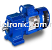 Energy Efficient Geared Motor  Bauer