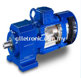 Energy Efficient Geared Motor 