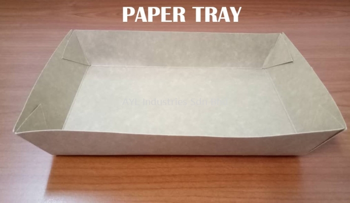 PAPER FOOD TRAY PLAIN (SAIZ M) (215X131X3.5M)