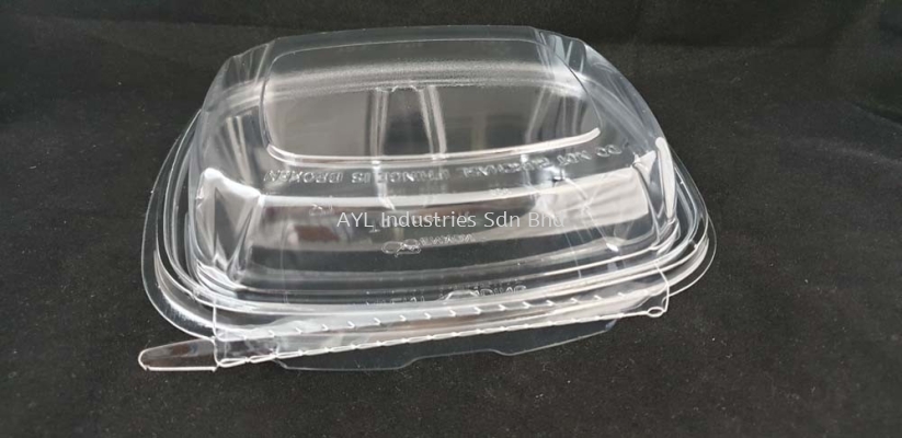 BENXON REC (20TE-DL) (CLEAR CONTAINER)(182X155X63)(200PCS)(4X50 PCS)