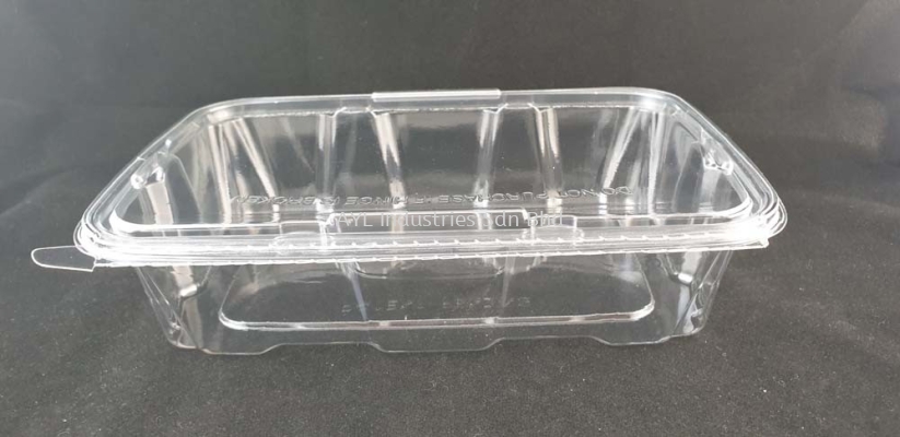 BENXON FRESH (FP-B) (CLEAR CONTAINER)(255X170X58)(150 PCS)