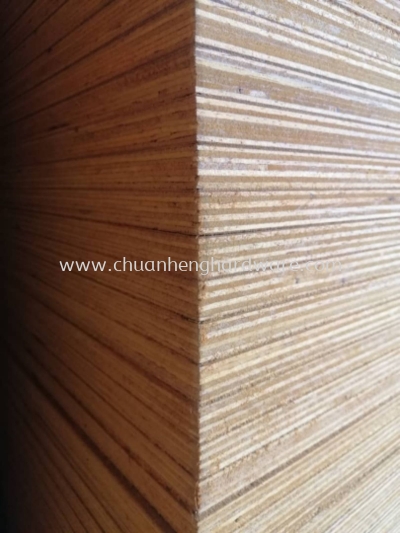 plywood 12mm 4x8 