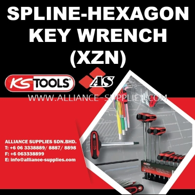 Spline-Hexagon Key Wrench (XZN)