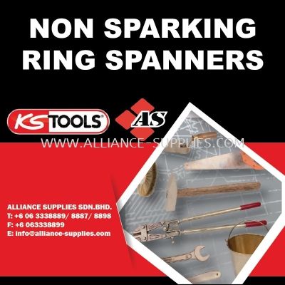 KS TOOLS Non Sparking Ring Spanners