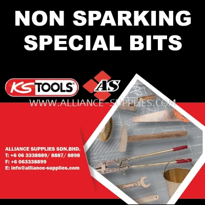 KS TOOLS Non Sparking Special Bits