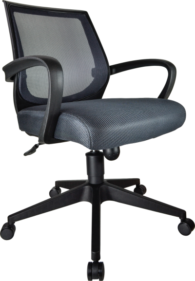 Mesh Typist Chair