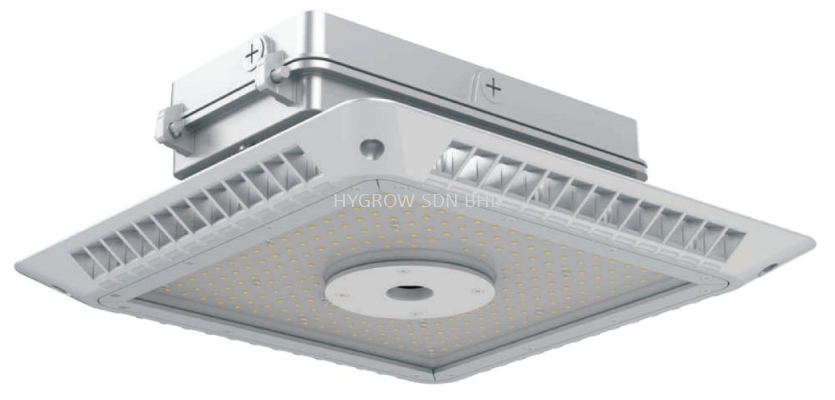 VSL GTLL LED Canopy Light