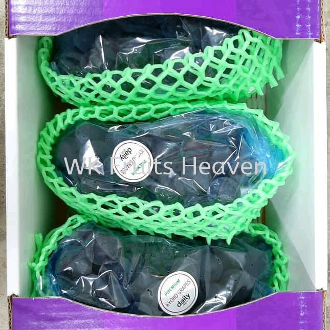 Korea Kyoho Grapes Supplier Suppliers Supply Supplies Import Fruits Wk Fruits Heaven Sdn Bhd