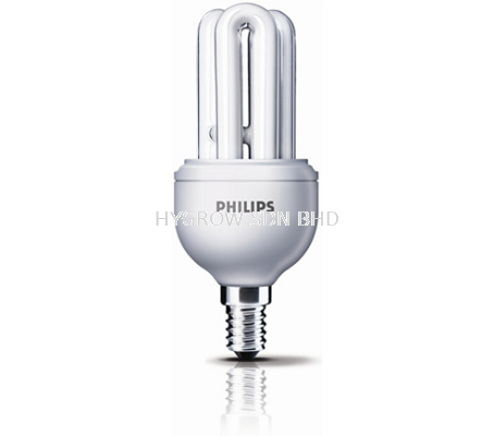 PHILIPS Genie Compact Fluorescent Lamp (Compact Size)