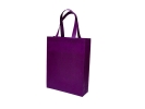 NWB1003 - Non Woven Bag Non Woven Bag Bag