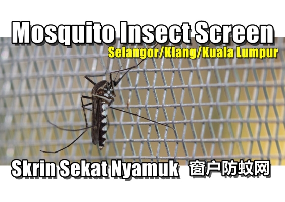 Window Insect Screen Selangor