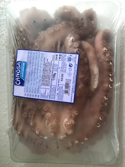 Frozen Raw Octopus Whole