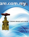 City Forging Brass Gate Valve City Valves Valves