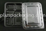 BT-5 Bento Box Take Away Box