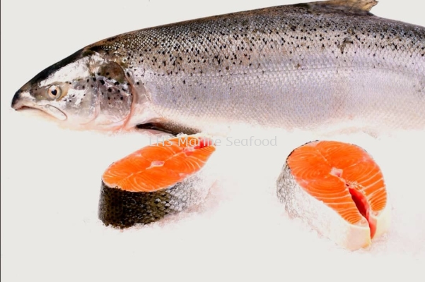 Fish Salmon Whole
