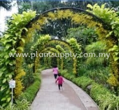 World Most Famous Botanic Gardens