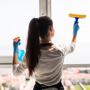 Window Cleaning