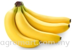 Banana Fruits