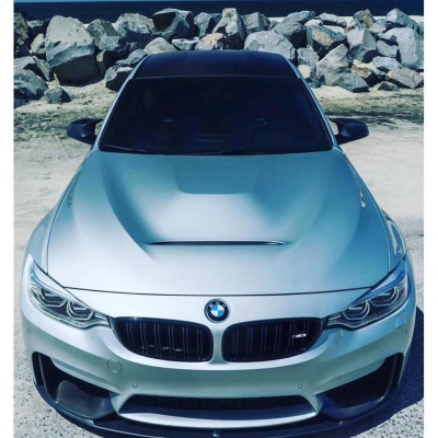 BMW F30 GTS front hood