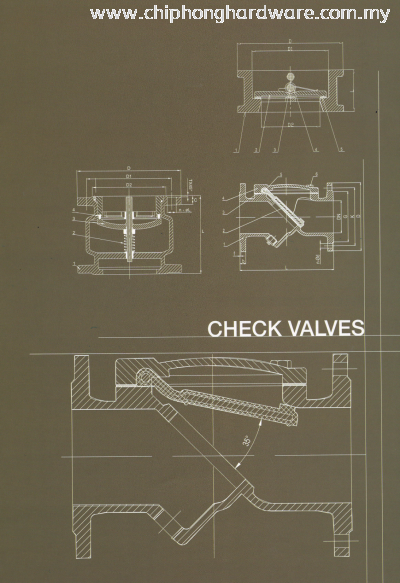 LYE Check Valves