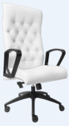 E2535H Executive Chair Office Chair 