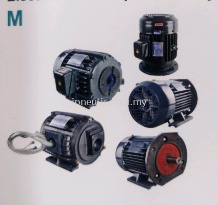 ELECTRIC MOTORS SPECIAL FOR HYDRAULIC APPLICATION-- M