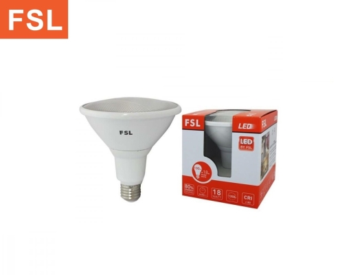 FSL LED Par38 Series