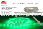 ARR-04011-220V-GREEN OUTDOOR LED Strip Lights