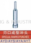 Special Shaped Punches PUNCH MOLD ACCESSORIES MOULD & DIES ACCESSORIES