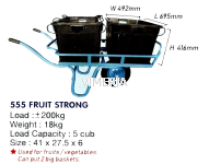 555 FRUIT STRONG