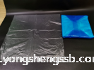 HM (SHEET) 24X24X0.040MM (25KG/BAG) HDPE Plastic Bag Plastic Bag