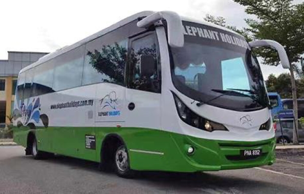 HINO Mini Coach (28 Seats - 31 Seats)