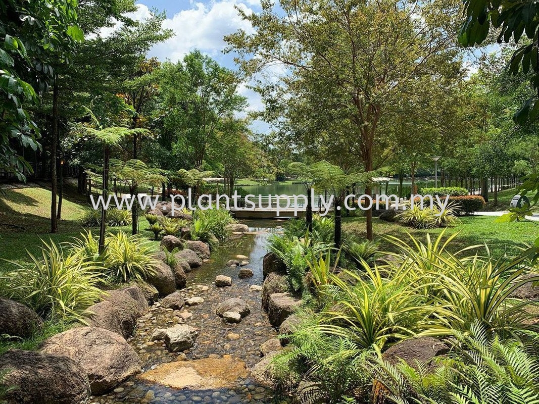 9 Wonderful Parks in Klang Valley to visit