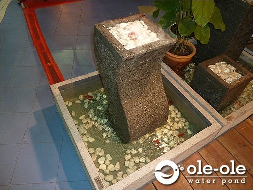 Mould Water Ponds Design Options & Refer Decoration Water Ponds Gardening Design Malaysia Reference Renovation Design 