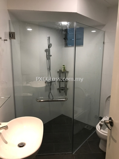 Shower Screen Swing Door