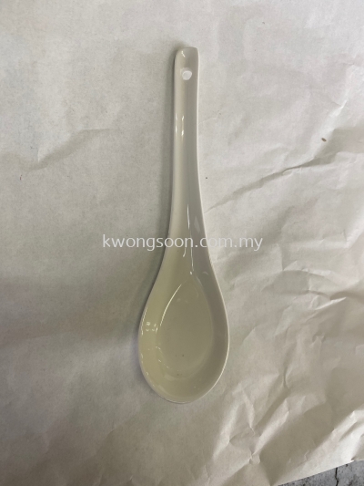 Porcelain Spoon