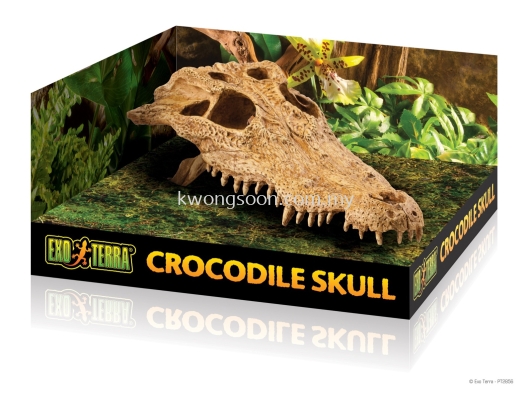 PT2856 EXO TERRA CROCODILE SKULL