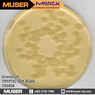 GranuCult Tryptic Soy Agar