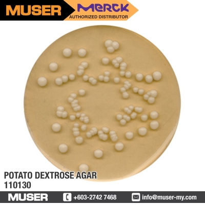 Potato Dextrose Agar