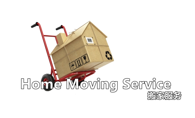 Home Moving Service