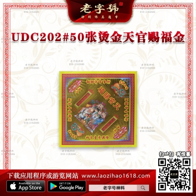 UDC202#50̽ٴ͸һ