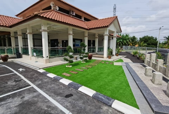 Artificial Grass