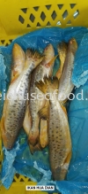 Ikan Hua Dian Fresh Fish
