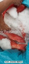 Ikan Janang Merah Fresh Fish